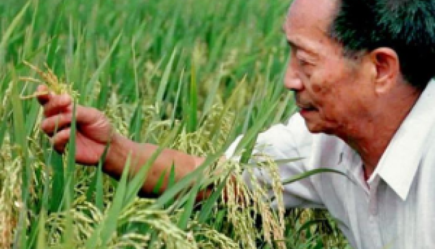 袁隆平的《百萬良田》功在千秋