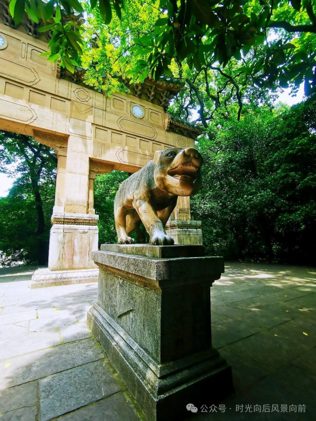 20260717003e.png