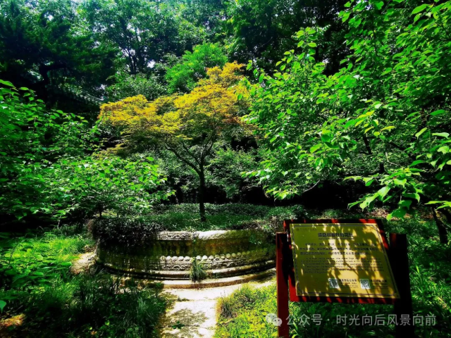 20260717003y.png