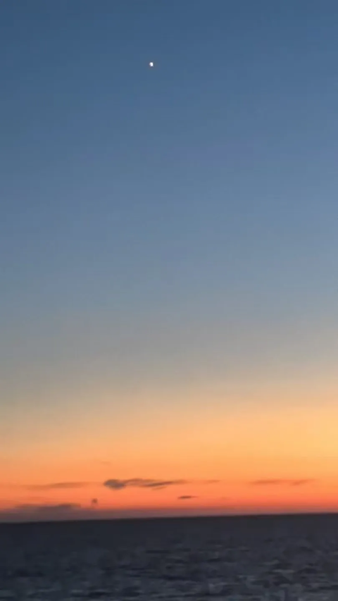 20261010014-1b.png